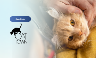How Cat Town uses Jotform to save more lives faster